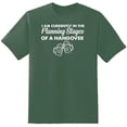 thumbnail image 1 of RedBarn I Am Currently In The Planning Stages Of A Hangover Novelty Sarcastic Funny Mens Graphic T Shirts, 1 of 2