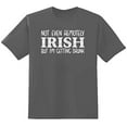 thumbnail image 1 of RedBarn Unisex Gray Half Sleeves Cotton Not Even Remotely Graphic T Shirt, 1 of 2