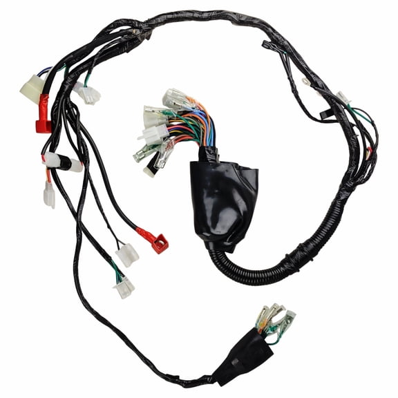 RedCap BSR250 Wire Harness for Compatible with RPS Hawk 250 Cougar Cycle Raven BSR 250cc Xmoto X88 Carb Gator 250RTS DF250RTS Replaces 22000-LA73-0903