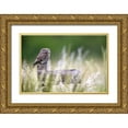thumbnail image 1 of Redaelli, Marco 32x23 Gold Ornate Wood Framed with Double Matting Museum Art Print Titled - Little Owl, 1 of 4