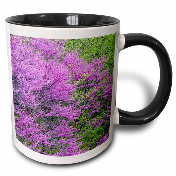 3drose, Redbud Trees in Full Spring Bloom Near Defiance Ohio - Us36 Cha0032 - Chuck Haney, 11oz Two-tone Black Mug