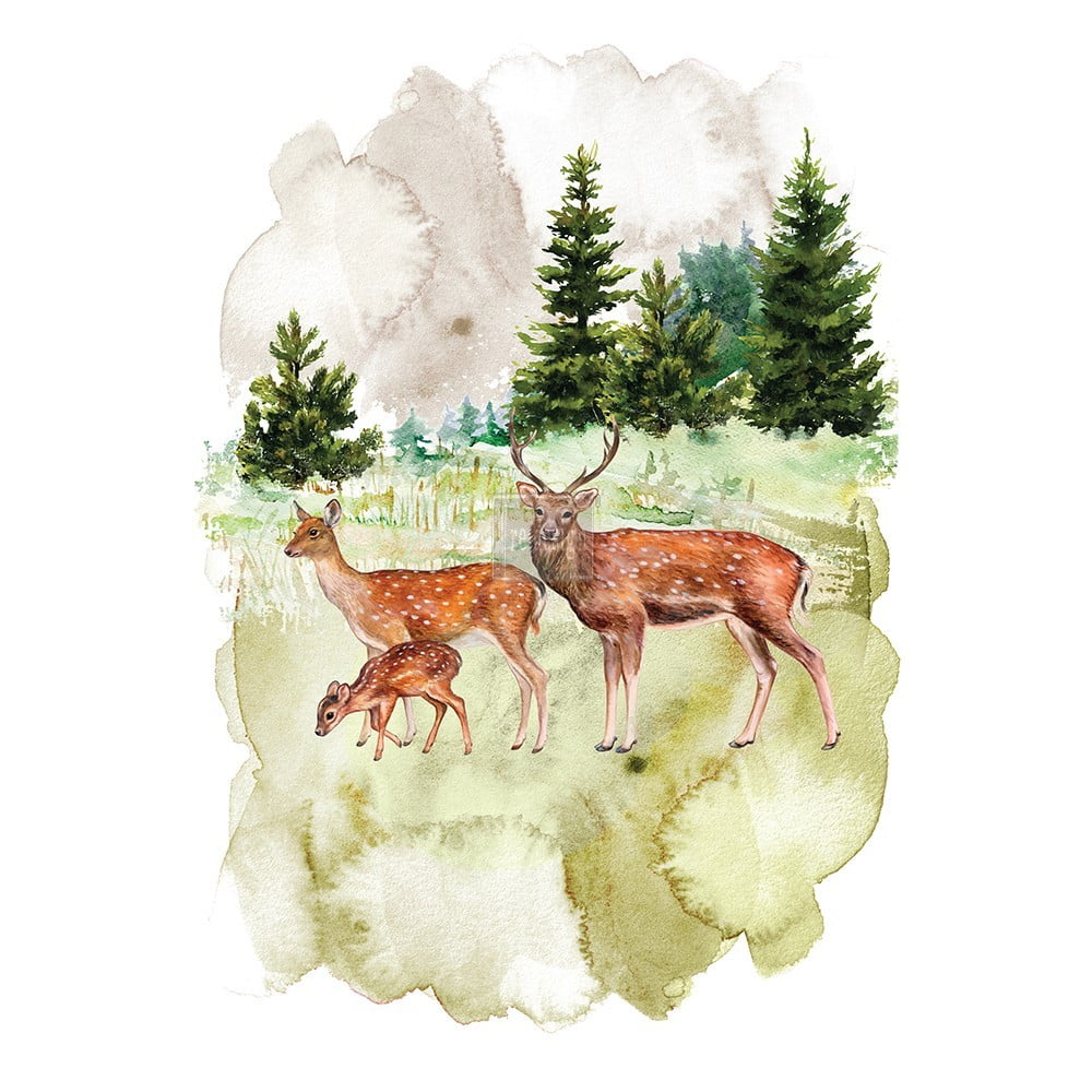 Redesign Decor Transfers® -Fauna size 23"x 34"