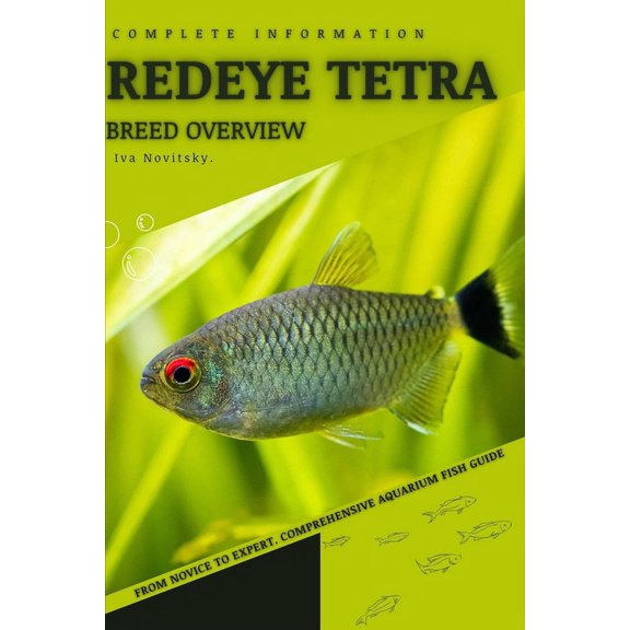 Redeye Tetra: From Novice to Expert. Comprehensive Aquarium Fish Guide (Paperback)