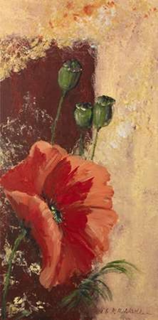 Redfloral III Canvas Art - Katharina Schottler (10 x 20)