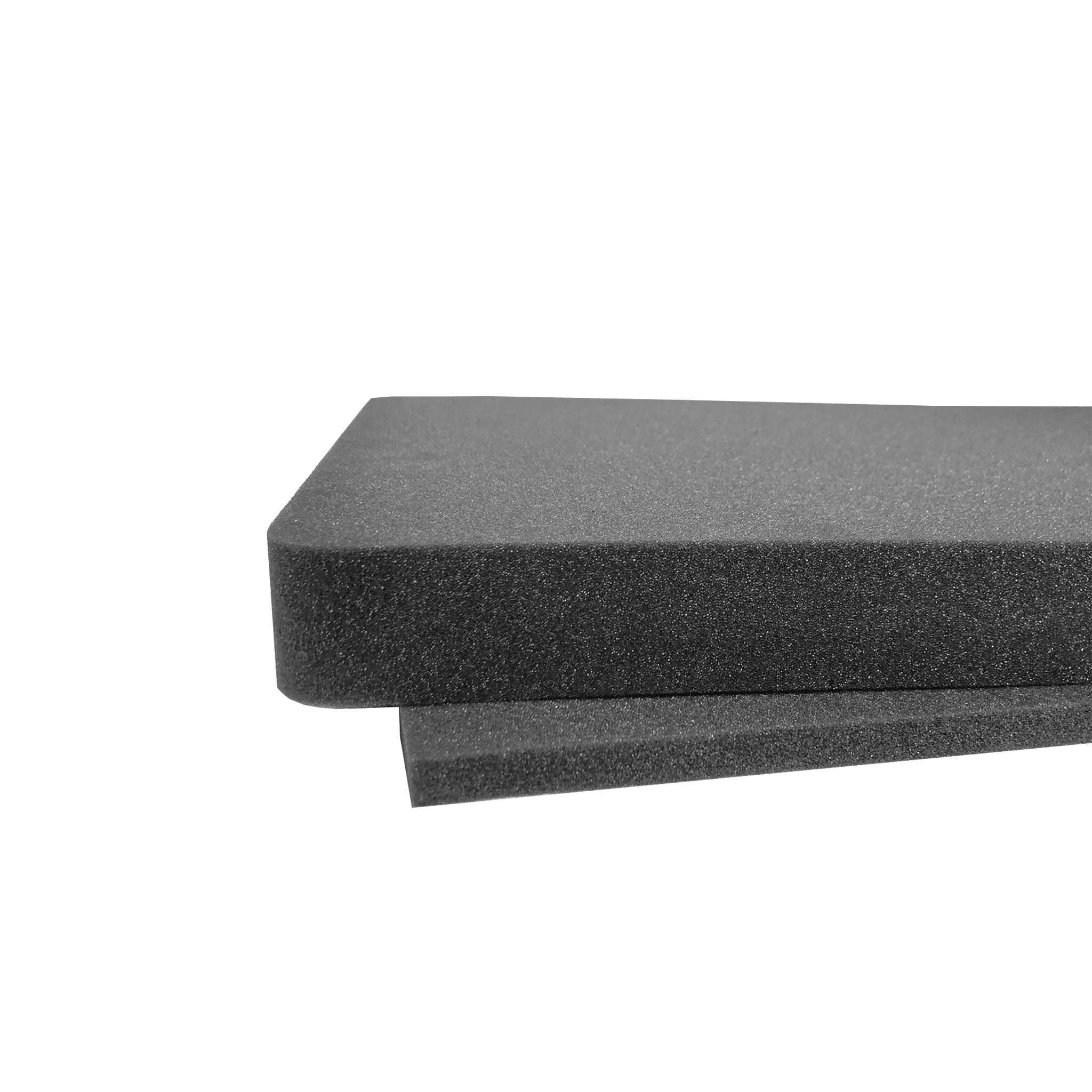 Foama N945 Case for 6 Filters with Foam Insert (Black/Red)