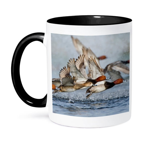 3dRose, Redhead Duck flock flying from freshwater pond, Texas, USA., 15oz Two-Tone Black Mug