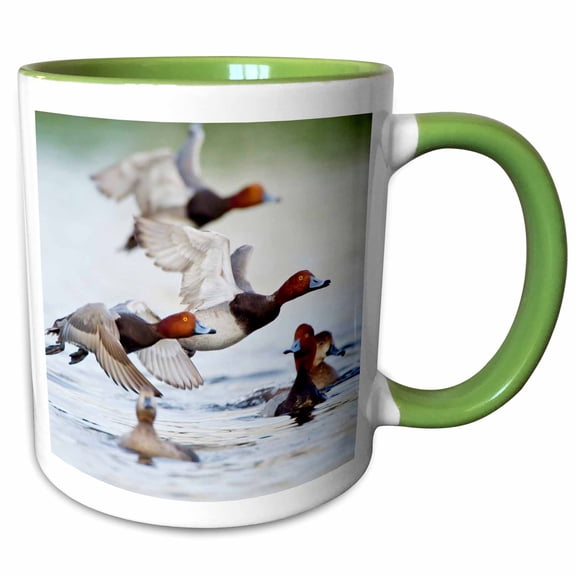 3drose, Redhead Duck Flock Flying from Freshwater Pond, Texas, Usa., 15oz Two-tone Green Mug