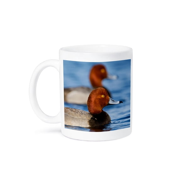 3drose, Redhead Duck Male in Freshwater Pond Near Laguna Madre, Texas., 15oz Mug
