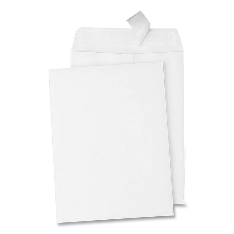 Redi-Strip Catalog Envelope, #1, Cheese Blade Flap, Redi-Strip Adhesive Closure, 6 x 9, Brown Kraft, 100/Box Redi-Strip Catalog Envelope, #1, Cheese Blade Flap, Redi-Strip Adhesive Closure, 6 x 9, Brown Kraft, 100/Box