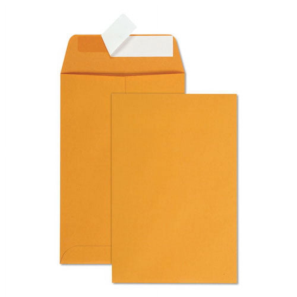 "RediStrip Catalog Envelope, 1, Cheese Blade Flap, RediStrip Closure