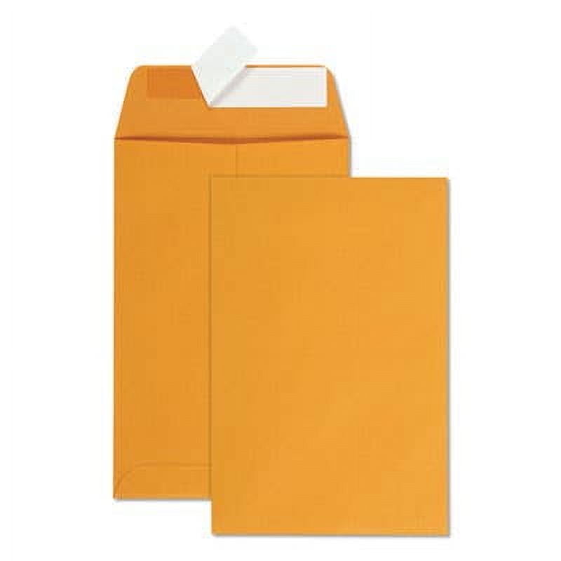 QUALITY PARK Redi-Strip Catalog Envelope, #1, Cheese Blade Flap, Redi-Strip Closure, 6 x 9, Brown Kraft, 100/Box