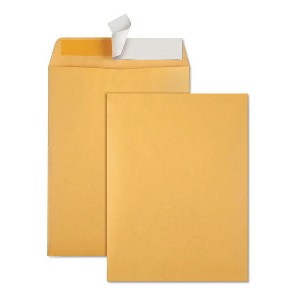 "RediStrip Catalog Envelope, 10 1/2, Cheese Blade Flap, RediStrip