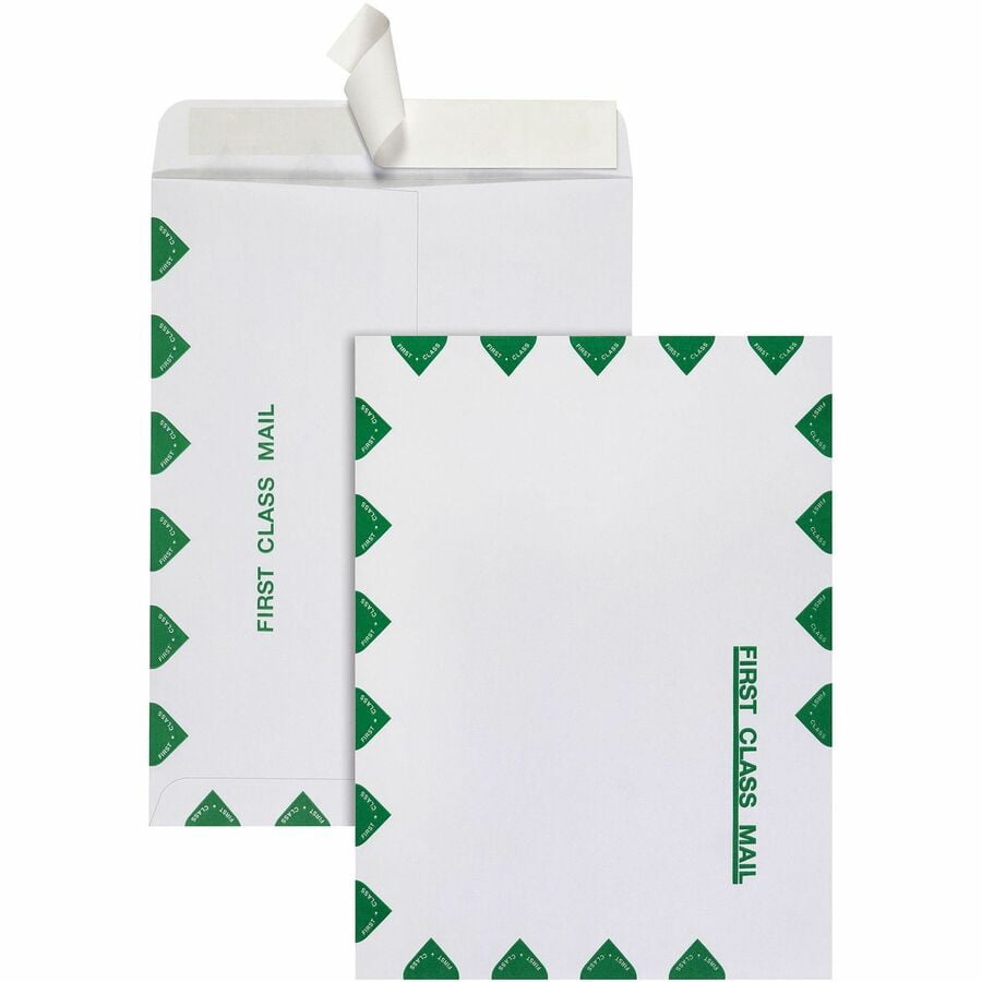 Redi-Strip Catalog Envelope, 6 x 9, Light Brown, 100/Box (品