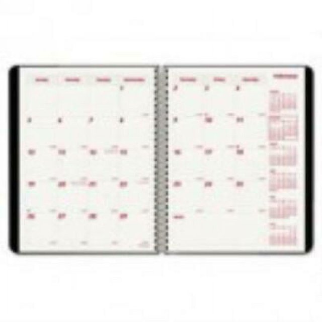 Rediform DuraFlex Nonrefillable Monthly Planner