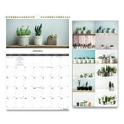 Rediform Office Products 12-month Wall Calendar, 12 X 17, Succulent Plants, 2021