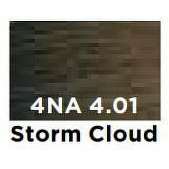 Redken Color Gel Lacquers - 4NA/4.01 Storm Cloud - Pack of 1 with Sleek Comb