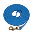 Redline K9 Sport / All Weather BioThane Dog Leash 5/8-Inch x 40 ...