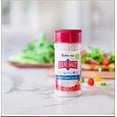Redmond Real salt Shaker Kosher, 10 oz