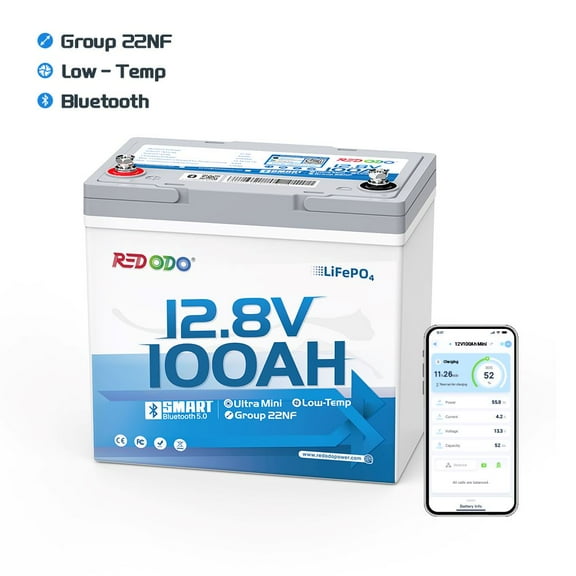 Redodo 12V 100Ah Bluetooth LiFePO4 Lithium Battery, Group 22NF Ultral-Mini Size RV Deep Cycle Battery with Low Temp Protection, Smart BMS & 1280Wh for RV Camping Trolling Motor Off Grid Use