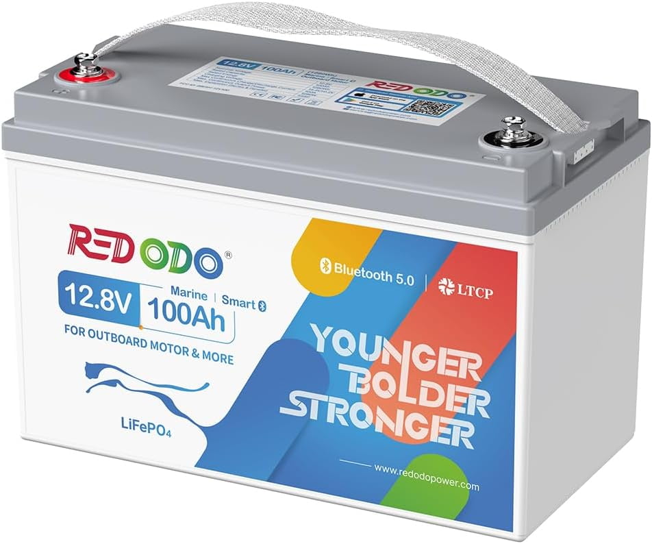 Redodo 12V 100Ah LiFePO4 Battery, Group 31 Lithium Battery with  