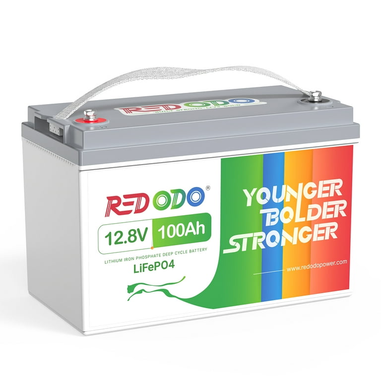 Redodo 12V 100Ah LiFePO4 Deep Cycle Lithium Battery Built-in 100A BMS for  RV, Camping, Solar Energy Storage