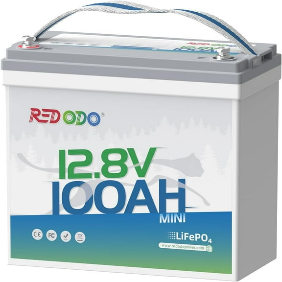 Redodo 12V 100Ah Mini LiFePO4 Battery, Lithium Battery with Upgraded 100A BMS up to 15000 Cycles Perfect for Solar Home Energy Storage, RV, Trolling Motor