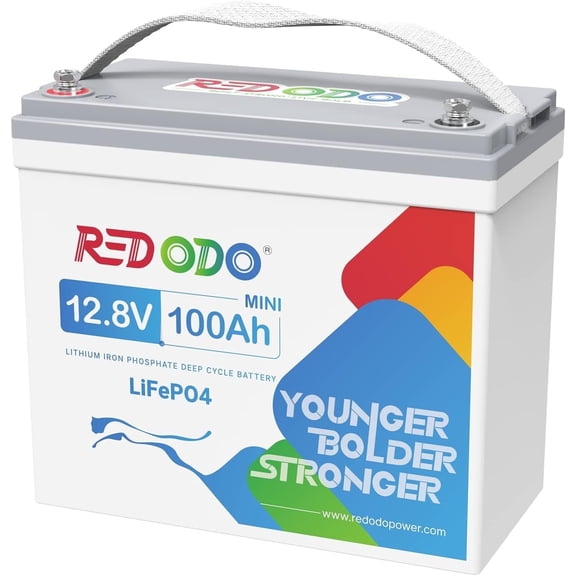 Redodo 12V 100Ah Mini LiFePO4 Lithium Battery Built-in 100A BMS, Light Weight Grade A Cells Lithium Battery, 4000-15000 Cycles for Boat, Solar Home, RV, Off-Grid