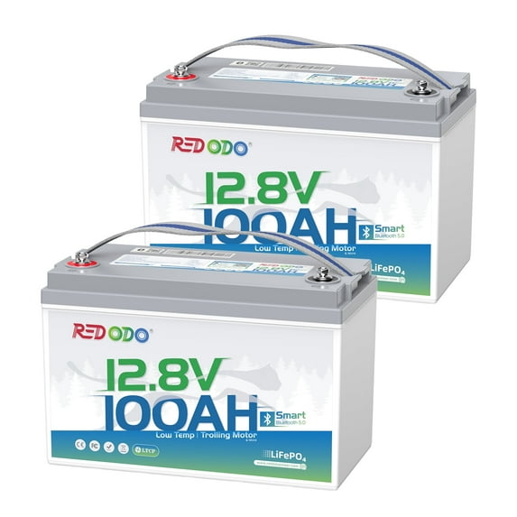 Redodo 2 Pack 12V 100Ah LiFePO4 Battery Bluetooth 100A BMS Remote Control Lithium Battery Low-Temp Protection for Trolling Motor RV