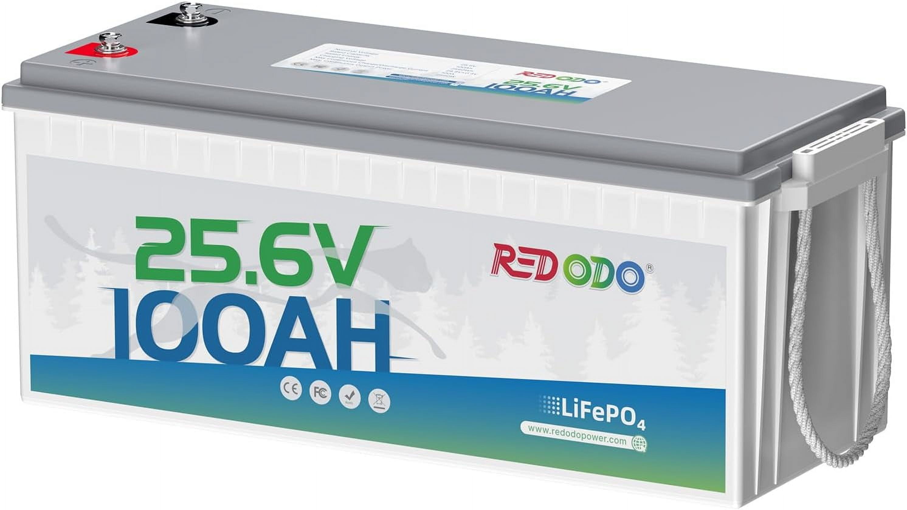 Redodo 24V 100Ah LiFePO4 Battery Deep Cycle Lithium Battery with 100A BMS, 2560Wh, up to 15000 Cycles, 10-Year Lifetime, Perfect for Solar Home System