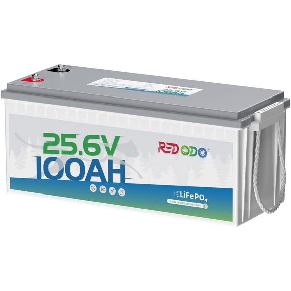 Redodo 24V 100Ah LiFePO4 Battery Deep Cycle Lithium Battery with 100A BMS, 2560Wh, up to 15000 Cycles, 10-Year Lifetime, Perfect for Solar Home System