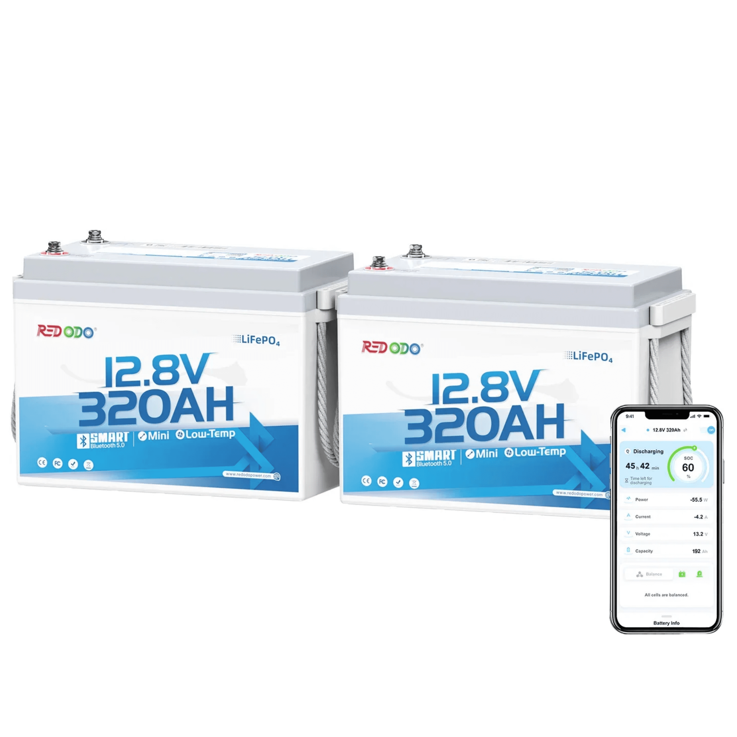 163465 Battery for Auto and Lawn Equipment