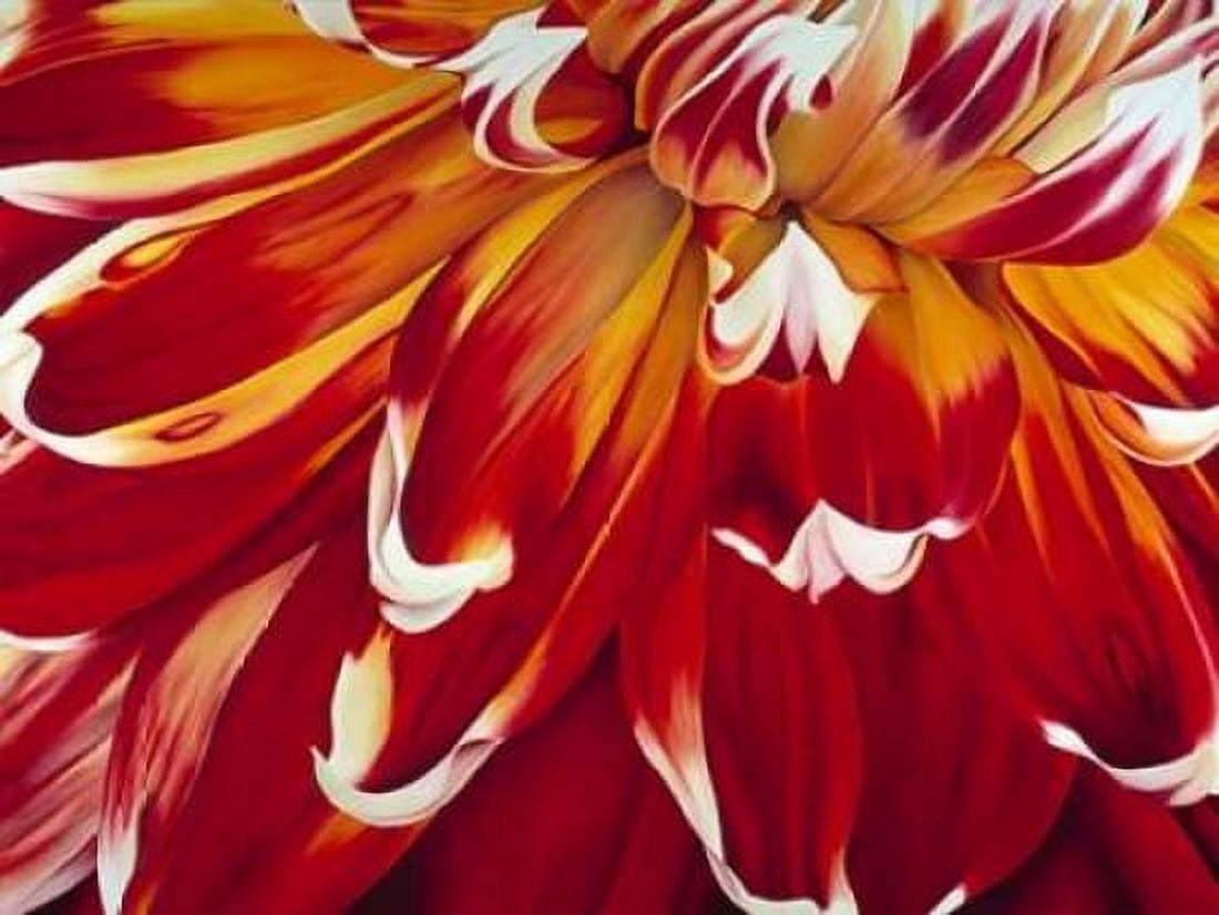 Redony Canvas Art - Yvonne Poelstra-Holzhaus (22 x 28)