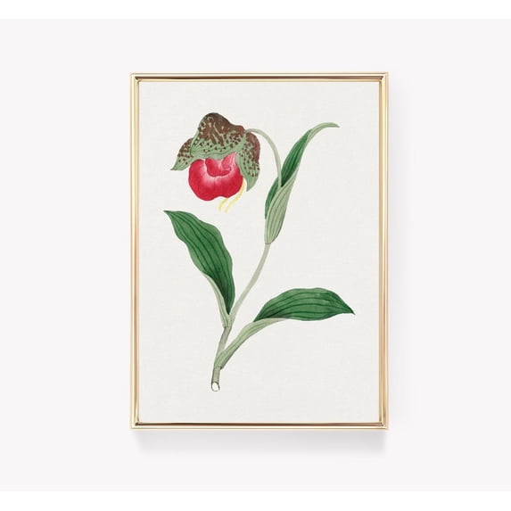 Botanical Flower Graphics Redouté Botanical Antique Flower Wall Art, Botanical Bedroom And Living ...