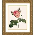 thumbnail image 1 of Redoute, Pierre 15x18 Gold Ornate Wood Framed with Double Matting Museum Art Print Titled - Redoutes Rose I, 1 of 4