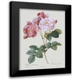 thumbnail image 1 of Redoute, Pierre Joseph 11x14 Black Modern Framed Museum Art Print Titled - Damask Rose, 1 of 5