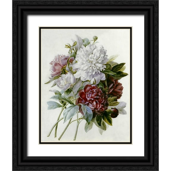 Redoute, Pierre Joseph 12x14 Black Ornate Wood Framed with Double Matting Museum Art Print Titled - A Bouquet of Red, Pink and White Peonies