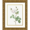 thumbnail image 1 of Redoute, Pierre Joseph 12x14 Gold Ornate Wood Framed with Double Matting Museum Art Print Titled - White Moss Rose, Misty Roses with White Flowers, Rosa muscosa alba, 1 of 4