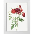thumbnail image 1 of Redoute, Pierre Joseph 14x18 White Modern Wood Framed Museum Art Print Titled - Ternaux Rose, Rosebush with almost violet flowers, Rosa indica subviolacea, 1 of 4