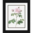 thumbnail image 1 of Redoute, Pierre Joseph 15x18 Black Ornate Wood Framed with Double Matting Museum Art Print Titled - Royal White Rose, Rosa alba regalis, 1 of 4