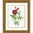 thumbnail image 1 of Redoute, Pierre Joseph 15x18 Gold Ornate Wood Framed with Double Matting Museum Art Print Titled - Guerins Rose, One Hundred-Leaved Rose, Rosa gallica gueriniana, 1 of 4