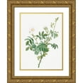 thumbnail image 1 of Redoute, Pierre Joseph 19x24 Gold Ornate Wood Framed with Double Matting Museum Art Print Titled - White Downy Rose, Cottony Rose, Rosa tomentosa, 1 of 4