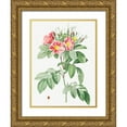 thumbnail image 1 of Redoute, Pierre Joseph 25x32 Gold Ornate Wood Framed with Double Matting Museum Art Print Titled - Pasture Rose, Highbush Carolina Rosebush, Rosa Carolina coryinbosa, 1 of 4