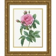 thumbnail image 1 of Redoute, Pierre Joseph 25x32 Gold Ornate Wood Framed with Double Matting Museum Art Print Titled - Gallic Rose, Rosa gallica regalis, 1 of 4