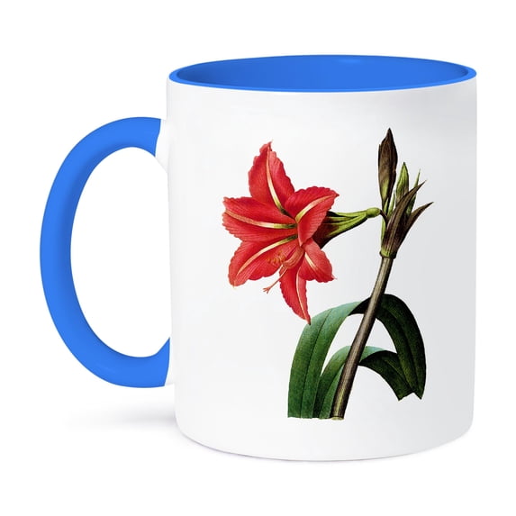 3dRose, Redoute Vintage Watercolor Floral Brazilian Amaryllis, 11oz Two-Tone Blue Mug