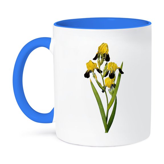 Redoute Vintage Watercolor Floral Brown-Flowered Iris Iris Squalens, 11oz Two-Tone Blue Mug