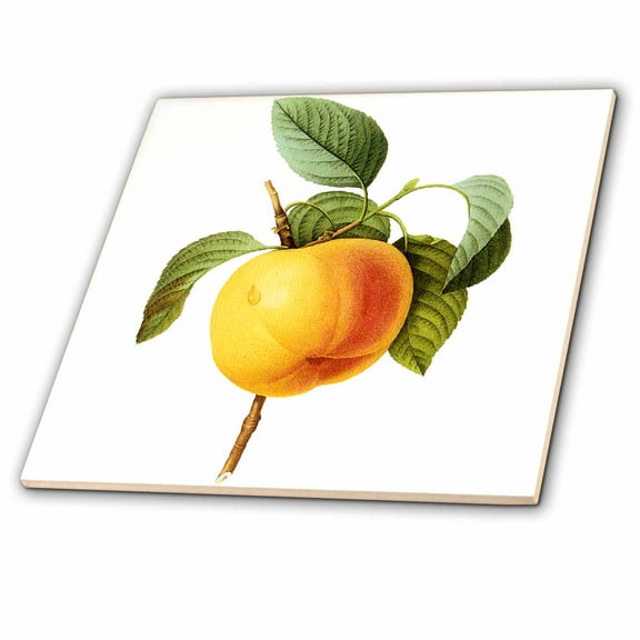 3dRose, Redoute Vintage Watercolor Fruit Calville Apple Malus Sp, 6 Inch Glass Tile