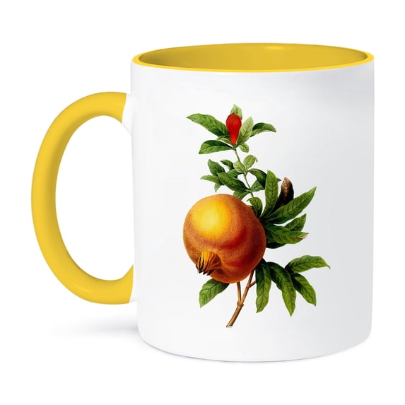 3dRose, Redoute Vintage Watercolor Fruit Pomegranate Grenadier Punica, 11oz Two-Tone Yellow Mug