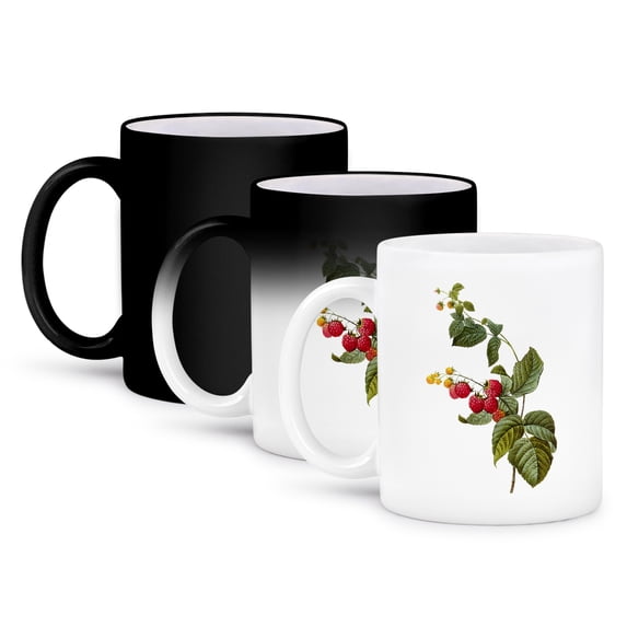 3dRose, Redoute Vintage Watercolor Fruit Raspberry Plant Rubus Sp, 11oz Magic Transforming Mug