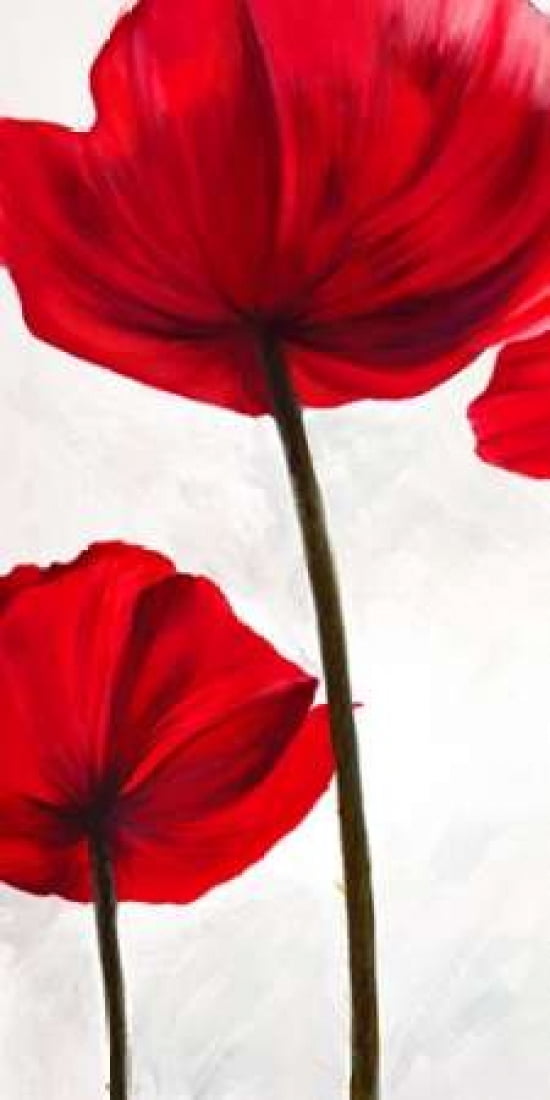 Reds I Canvas Art - Luca Villa (10 x 20)