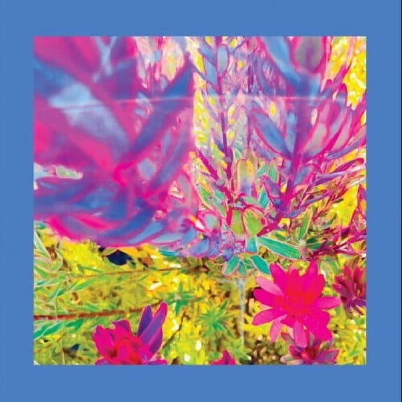 Reds Pinks & Purples - The Past is a Garden I Never Fed - Music & Performance - Vinyl